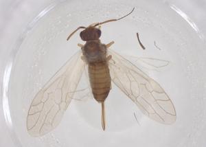  ( - CBG-B02333-B09)  @11 [ ] CreativeCommons - Attribution Share - Alike (2025) Centre for Biodiversity Genomics Centre for Biodiversity Genomics