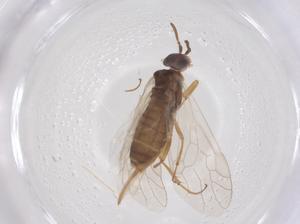  ( - CBG-B02333-F05)  @11 [ ] CreativeCommons - Attribution Share - Alike (2025) Centre for Biodiversity Genomics Centre for Biodiversity Genomics