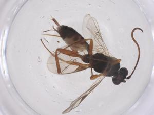  ( - CBG-B02336-F04)  @11 [ ] CreativeCommons - Attribution Share - Alike (2025) Centre for Biodiversity Genomics Centre for Biodiversity Genomics