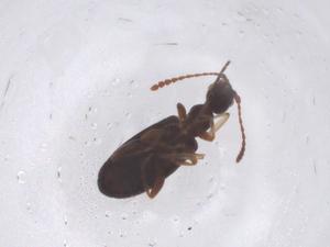  ( - CBG-B02337-G08)  @11 [ ] CreativeCommons - Attribution Share - Alike (2025) Centre for Biodiversity Genomics Centre for Biodiversity Genomics