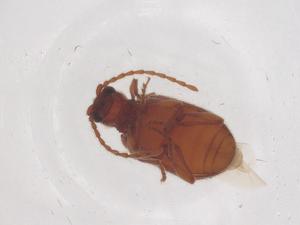  ( - CBG-B02410-A07)  @11 [ ] CreativeCommons - Attribution Share - Alike (2025) Centre for Biodiversity Genomics Centre for Biodiversity Genomics