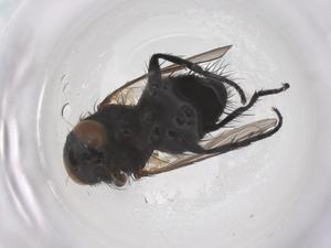  ( - CBG-B02410-A12)  @11 [ ] CreativeCommons - Attribution Share - Alike (2025) Centre for Biodiversity Genomics Centre for Biodiversity Genomics