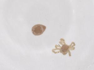  ( - CBG-B02410-B05)  @11 [ ] CreativeCommons - Attribution Share - Alike (2025) Centre for Biodiversity Genomics Centre for Biodiversity Genomics