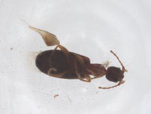  ( - CBG-B20195-E10)  @11 [ ] CreativeCommons - Attribution Share - Alike (2025) Centre for Biodiversity Genomics Centre for Biodiversity Genomics