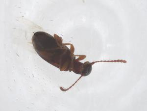  ( - CBG-B20195-F04)  @11 [ ] CreativeCommons - Attribution Share - Alike (2025) Centre for Biodiversity Genomics Centre for Biodiversity Genomics