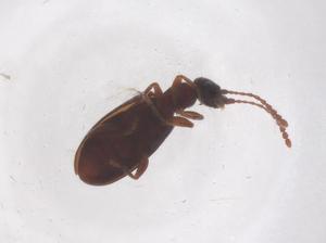  ( - CBG-B20196-A07)  @11 [ ] CreativeCommons - Attribution Share - Alike (2025) Centre for Biodiversity Genomics Centre for Biodiversity Genomics