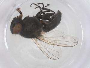  ( - CBG-B20202-E02)  @11 [ ] CreativeCommons - Attribution Share - Alike (2025) Centre for Biodiversity Genomics Centre for Biodiversity Genomics