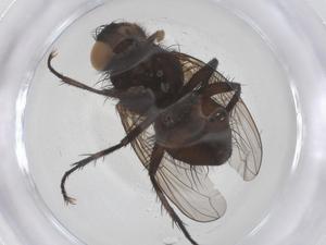  ( - CBG-B20202-G06)  @11 [ ] CreativeCommons - Attribution Share - Alike (2025) Centre for Biodiversity Genomics Centre for Biodiversity Genomics