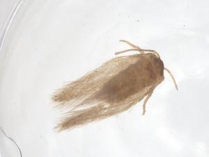  ( - CBG-B20202-H05)  @11 [ ] CreativeCommons - Attribution Share - Alike (2025) Centre for Biodiversity Genomics Centre for Biodiversity Genomics