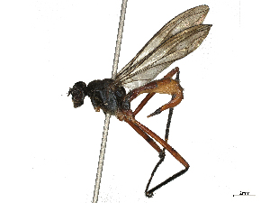  ( - CBG-B00095-D07)  @11 [ ] CreativeCommons - Attribution Share - Alike (2025) CBG Photography Group Centre for Biodiversity Genomics