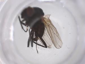  ( - CBG-B04297-A11)  @11 [ ] CreativeCommons - Attribution Share - Alike (2025) Centre for Biodiversity Genomics Centre for Biodiversity Genomics