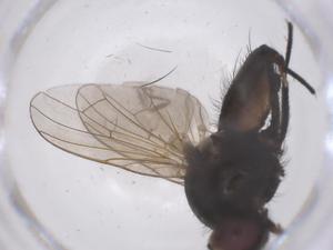  ( - CBG-B04865-D03)  @11 [ ] CreativeCommons - Attribution Share - Alike (2025) Centre for Biodiversity Genomics Centre for Biodiversity Genomics