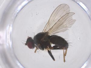  ( - CBG-B04865-F02)  @11 [ ] CreativeCommons - Attribution Share - Alike (2025) Centre for Biodiversity Genomics Centre for Biodiversity Genomics