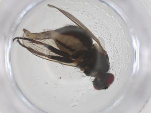  ( - CBG-B04867-B06)  @11 [ ] CreativeCommons - Attribution Share - Alike (2025) Centre for Biodiversity Genomics Centre for Biodiversity Genomics