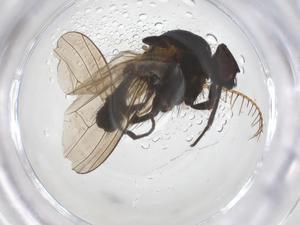  ( - CBG-B04867-E01)  @11 [ ] CreativeCommons - Attribution Share - Alike (2025) Centre for Biodiversity Genomics Centre for Biodiversity Genomics