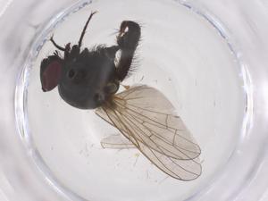  ( - CBG-B04868-C09)  @11 [ ] CreativeCommons - Attribution Share - Alike (2025) Centre for Biodiversity Genomics Centre for Biodiversity Genomics