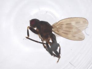  ( - CBG-B22104-F12)  @11 [ ] CreativeCommons - Attribution Share - Alike (2025) Centre for Biodiversity Genomics Centre for Biodiversity Genomics