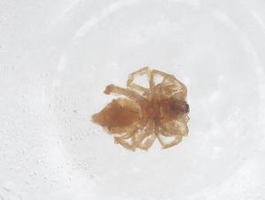  ( - CBG-B22573-E12)  @11 [ ] CreativeCommons - Attribution Share - Alike (2025) Centre for Biodiversity Genomics Centre for Biodiversity Genomics