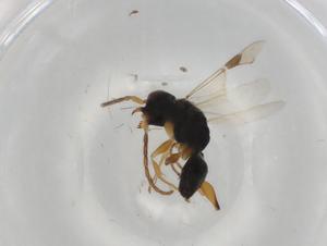  ( - BIOUG79421-E04)  @11 [ ] CreativeCommons - Attribution (2022) Centre for Biodiversity Genomics Centre for Biodiversity Genomics