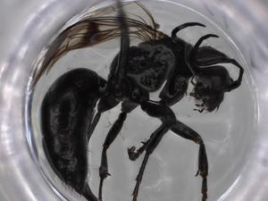  ( - BIOUG78123-G01)  @11 [ ] CreativeCommons - Attribution (2022) Centre for Biodiversity Genomics Centre for Biodiversity Genomics