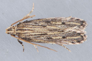  ( - MDOK-1392)  @12 [ ] Copyright (2010) Unspecified Unspecified