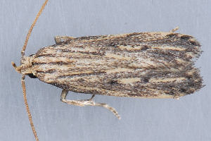  ( - MDOK-1853)  @12 [ ] Copyright (2010) Unspecified Unspecified