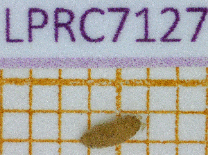  ( - LPRC7127)  @11 [ ] Copyright (2020) Franck Noël Unspecified