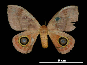  ( - MAL-00024)  @13 [ ] Unspecified (default): All Rights Reserved  Unspecified Unspecified