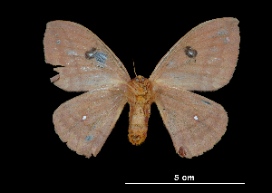  ( - MAL-00024)  @13 [ ] Unspecified (default): All Rights Reserved  Unspecified Unspecified