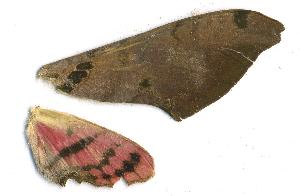  ( - JKA-02-1656)  @12 [ ] Copyright (2010) Kim Mitter University of Maryland