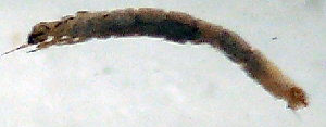 ( - JOS259)  @11 [ ] Unspecified (default): All Rights Reserved  Unspecified Unspecified