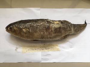  ( - LUD10)  @11 [ ] CreativeCommons-Attribution Non-Commercial Share-Alike  2018 National Fisheries Research and Development Institute
