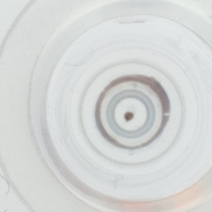  ( - LUHW_003_H10)  @11 [ ] by  Genome Research Ltd as Wellcome Sanger Institute Genome Research Limited operating as Wellcome Sanger Institute