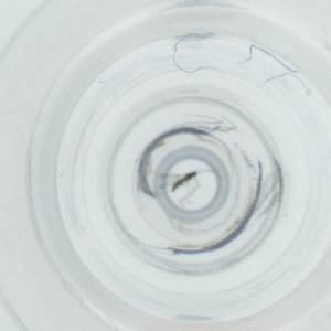  ( - LUHW_009_H6)  @11 [ ] by  Genome Research Ltd as Wellcome Sanger Institute Genome Research Limited operating as Wellcome Sanger Institute