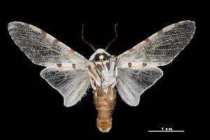  ( - MAL-03649)  @14 [ ] Unspecified (default): All Rights Reserved  Unspecified Unspecified