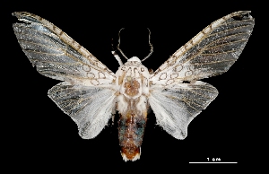  ( - MAL-03553)  @14 [ ] Unspecified (default): All Rights Reserved  Unspecified Unspecified