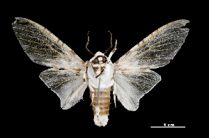  ( - MAL-03553)  @14 [ ] Unspecified (default): All Rights Reserved  Unspecified Unspecified