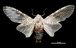  ( - MAL-03554)  @14 [ ] Unspecified (default): All Rights Reserved  Unspecified Unspecified