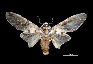  ( - MAL-03554)  @14 [ ] Unspecified (default): All Rights Reserved  Unspecified Unspecified