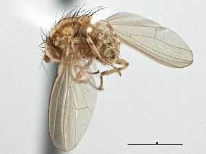  ( - CCDB-21321-A10)  @11 [ ] CreativeCommons - Attribution (2014) CBG Photography Group Centre for Biodiversity Genomics