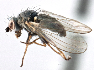  ( - CCDB-21321-C10)  @11 [ ] CreativeCommons - Attribution (2014) CBG Photography Group Centre for Biodiversity Genomics