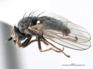  ( - CCDB-21321-D02)  @11 [ ] CreativeCommons - Attribution (2014) CBG Photography Group Centre for Biodiversity Genomics