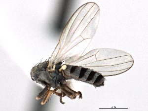  ( - CCDB-21321-E10)  @12 [ ] CreativeCommons - Attribution (2014) CBG Photography Group Centre for Biodiversity Genomics