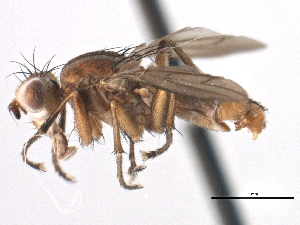  ( - CCDB-21321-G10)  @14 [ ] CreativeCommons - Attribution (2014) CBG Photography Group Centre for Biodiversity Genomics