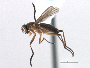 ( - CCDB-21321-H02)  @11 [ ] CreativeCommons - Attribution (2014) CBG Photography Group Centre for Biodiversity Genomics