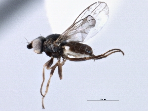  ( - CCDB-21328-A10)  @11 [ ] CreativeCommons - Attribution (2014) CBG Photography Group Centre for Biodiversity Genomics