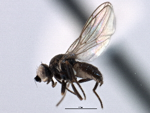  ( - CCDB-21328-B04)  @14 [ ] CreativeCommons - Attribution (2014) CBG Photography Group Centre for Biodiversity Genomics