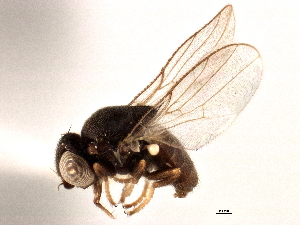  ( - CCDB-21328-B07)  @11 [ ] CreativeCommons - Attribution (2014) CBG Photography Group Centre for Biodiversity Genomics