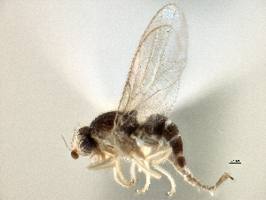  ( - CCDB-21328-E04)  @11 [ ] CreativeCommons - Attribution (2014) CBG Photography Group Centre for Biodiversity Genomics