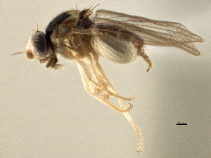  ( - CCDB-21328-E05)  @13 [ ] CreativeCommons - Attribution (2014) CBG Photography Group Centre for Biodiversity Genomics